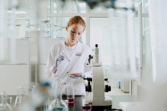 Scientist analyzing samples in sustainability driven lab