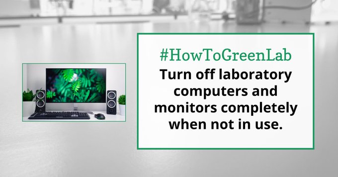 computer with leaves on screen