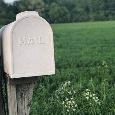 White mailbox in the country with green grass and flowers behind it indicating news delivery