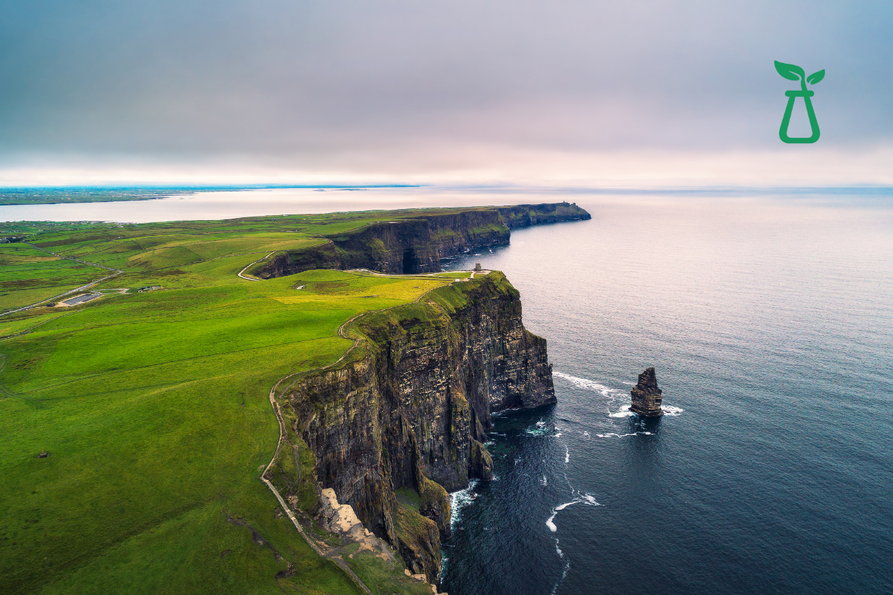 a grassy cliff by a clear ocean scape