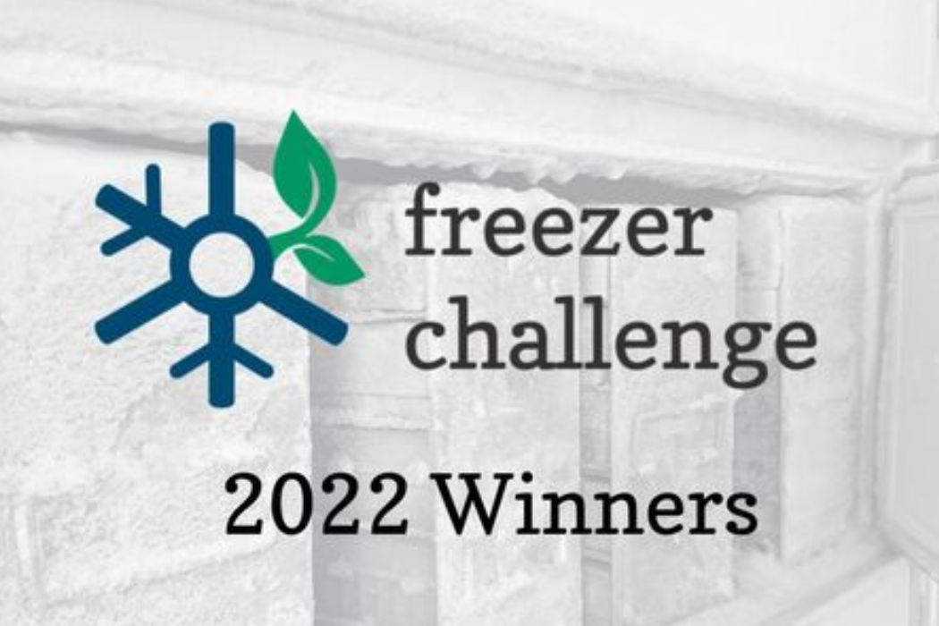 freezer challenge