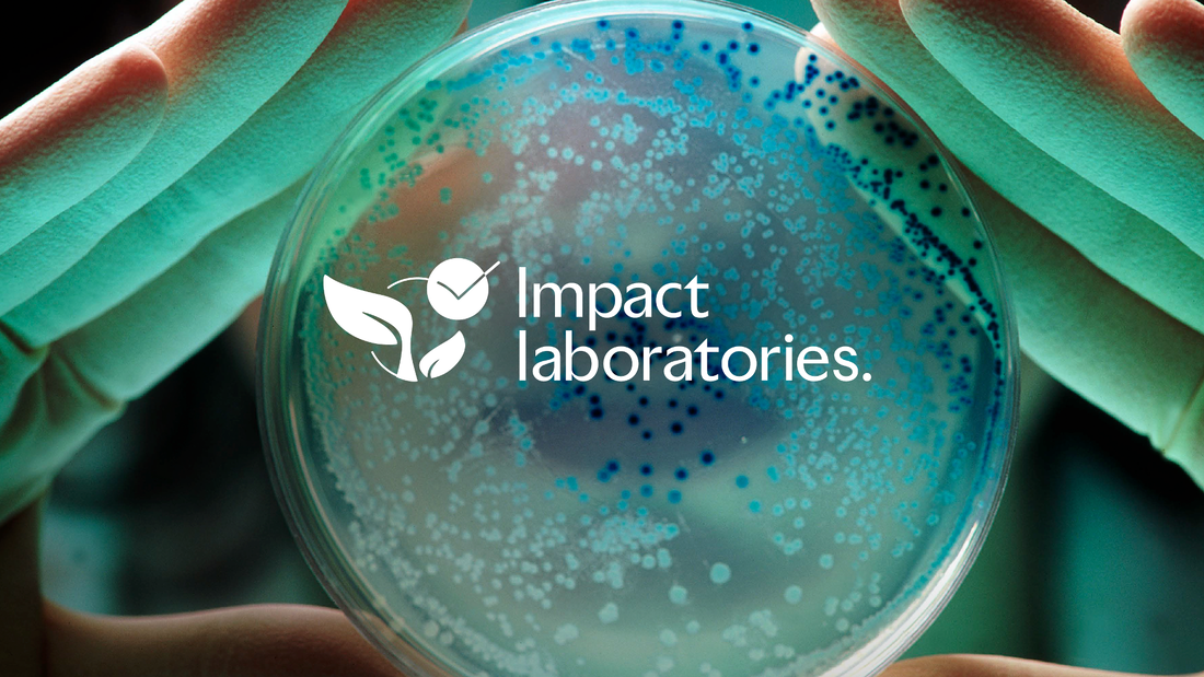 Petri dish with Impact Laboratories logo in white