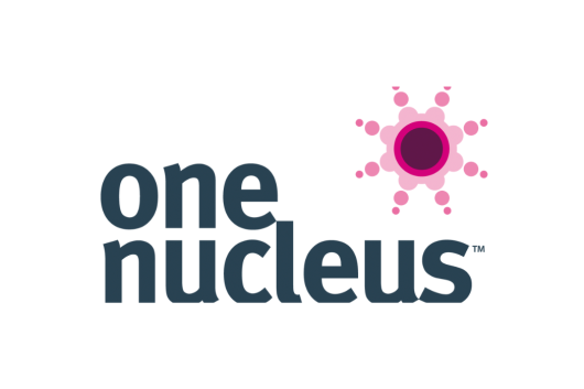 one nucleus