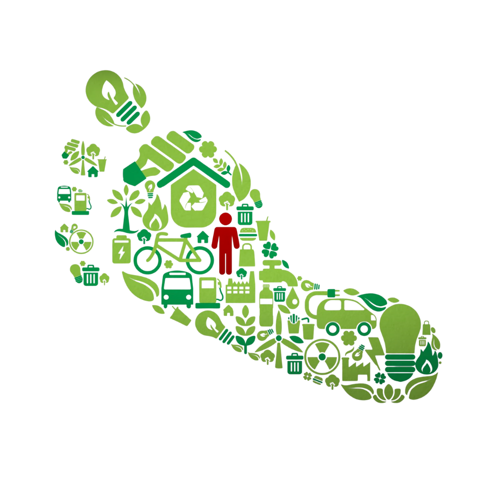 carbon footprint