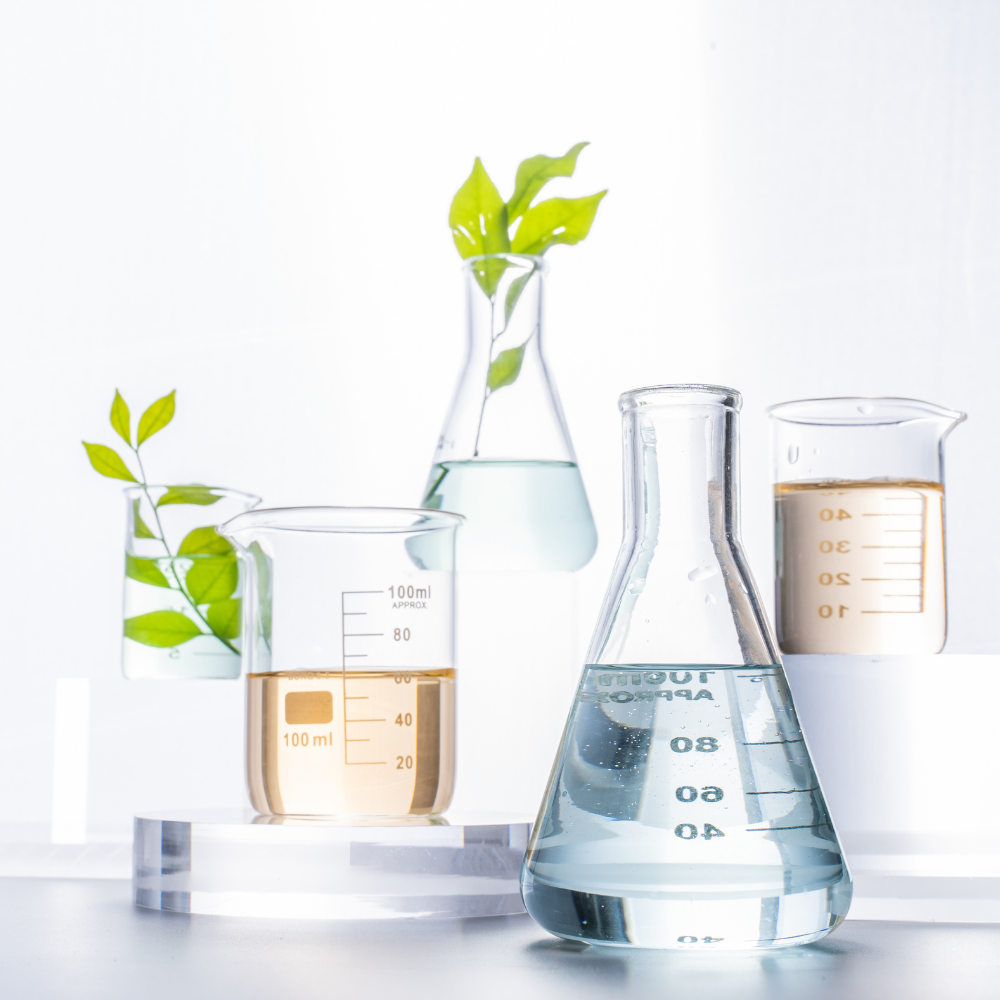 beakers with water and plants